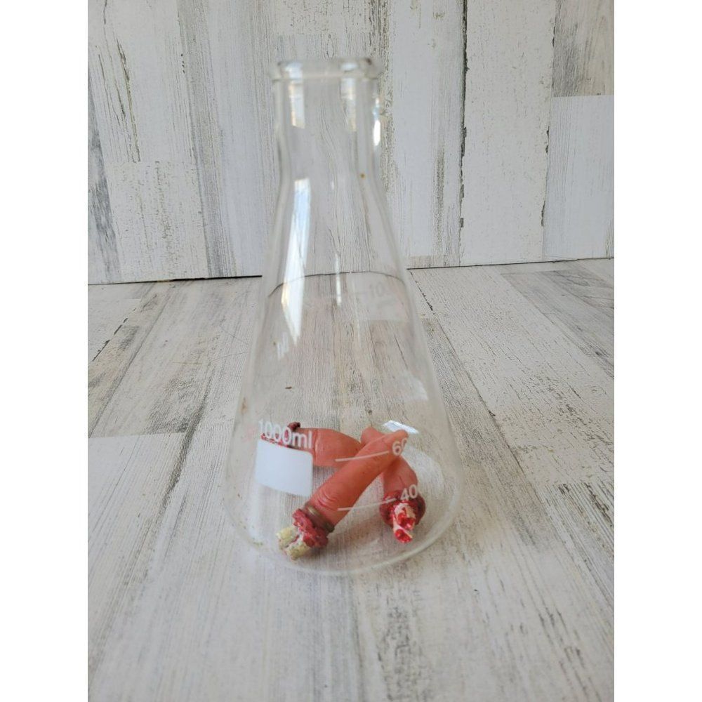 Halloween lab beaker finger prop‎ home decor